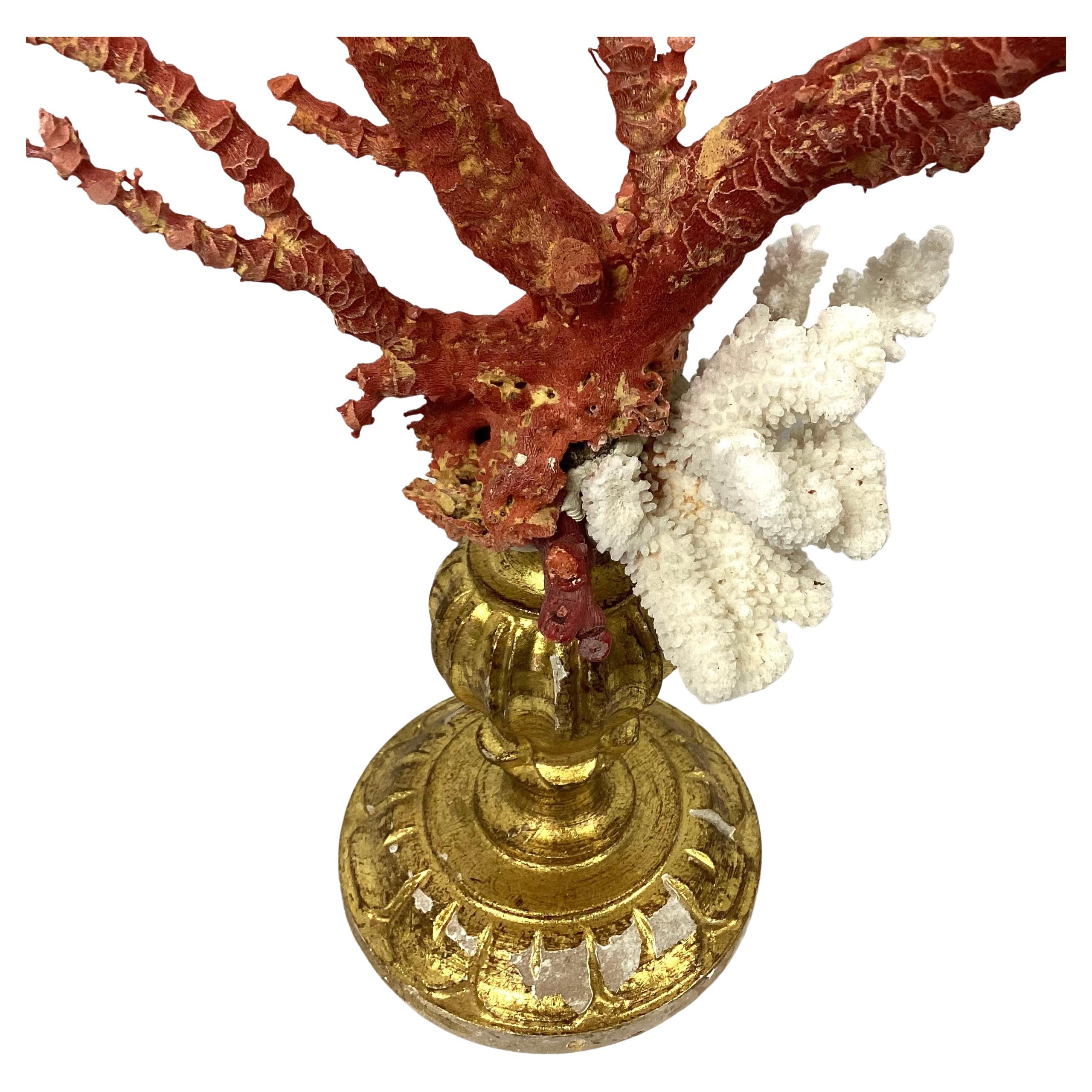 Organic Modern Natural Red and White Coral Mounted on 18th Century Giltwood Fragment For Sale