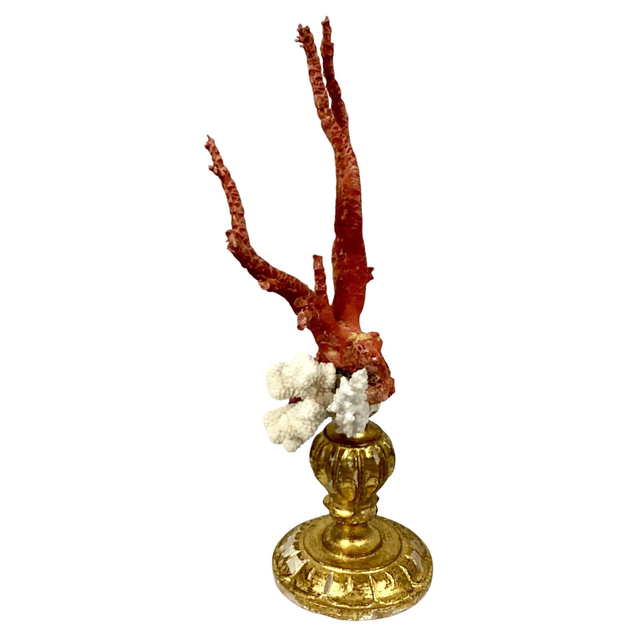 Natural Red and White Coral Mounted on 18th Century Giltwood Fragment In Good Condition For Sale In Bradenton, FL