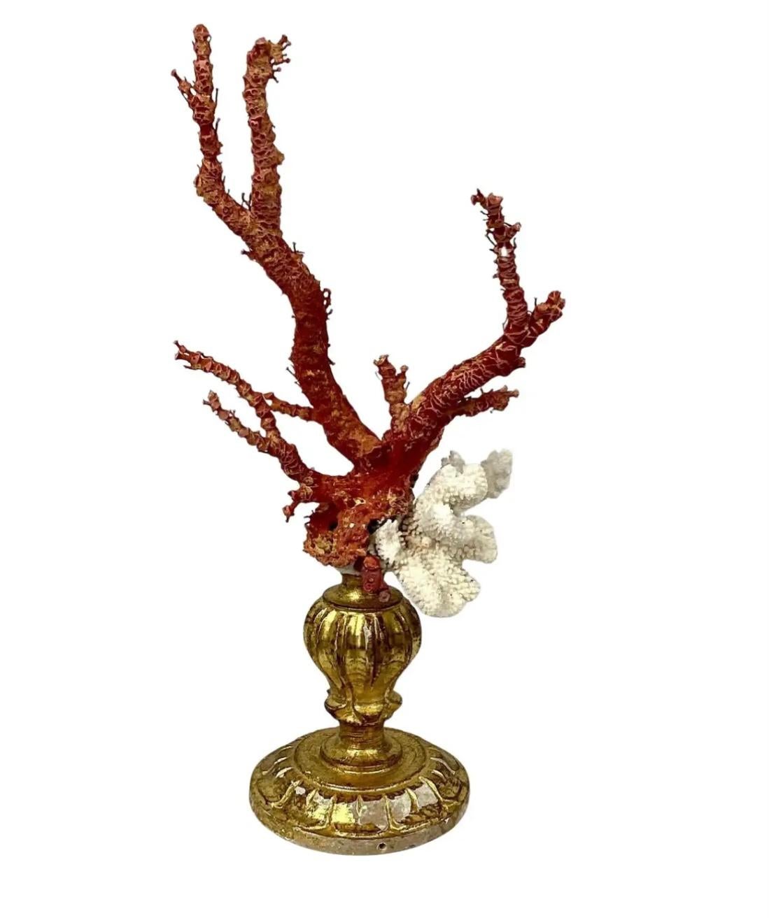 Natürliche rote und weiße Koralle auf vergoldetem Holzfragment aus dem 18. Jahrhundert (20. Jahrhundert) im Angebot
