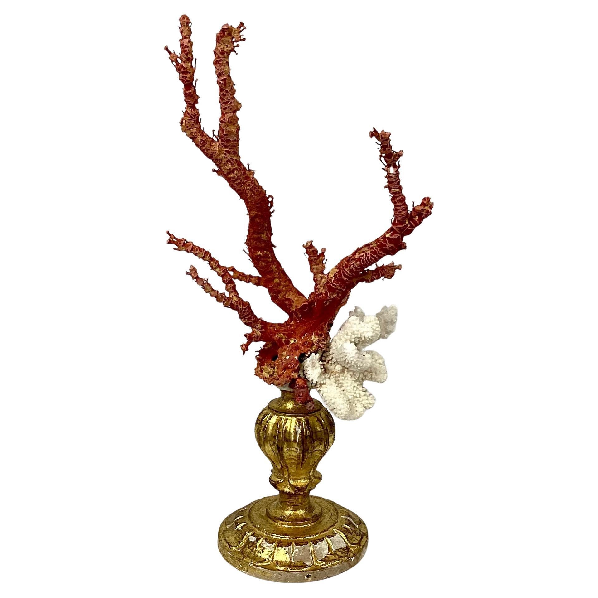 Natural Red and White Coral Mounted on 18th Century Giltwood Fragment For Sale