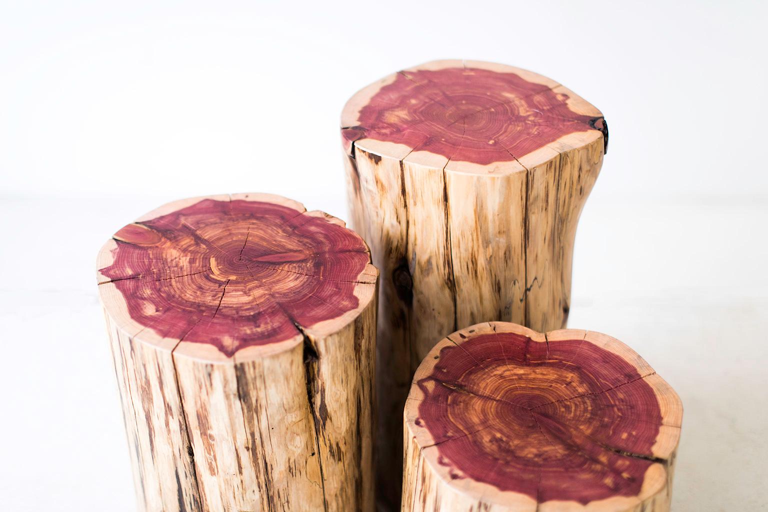 cedar stumps for sale