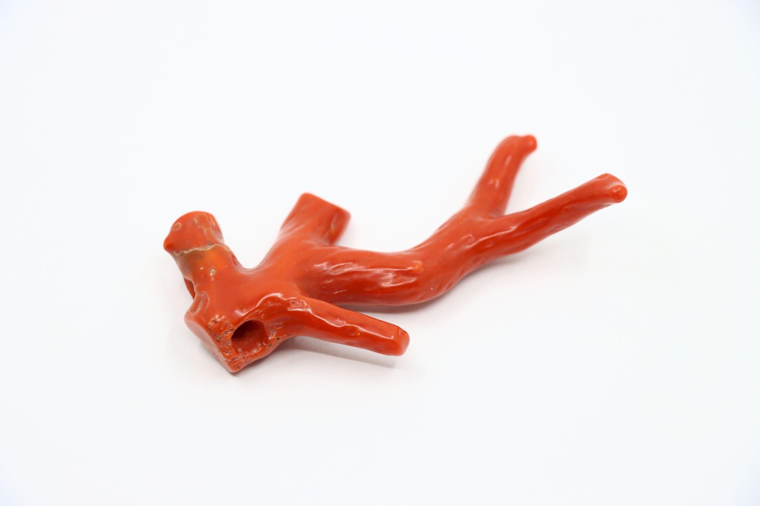 Ciondolo a forma di ramo di corallo rosso Nature

Dimensioni approssimative:
7,5 cm (lunghezza) 
4,3 cm (larghezza)
25,5 grammi di peso.