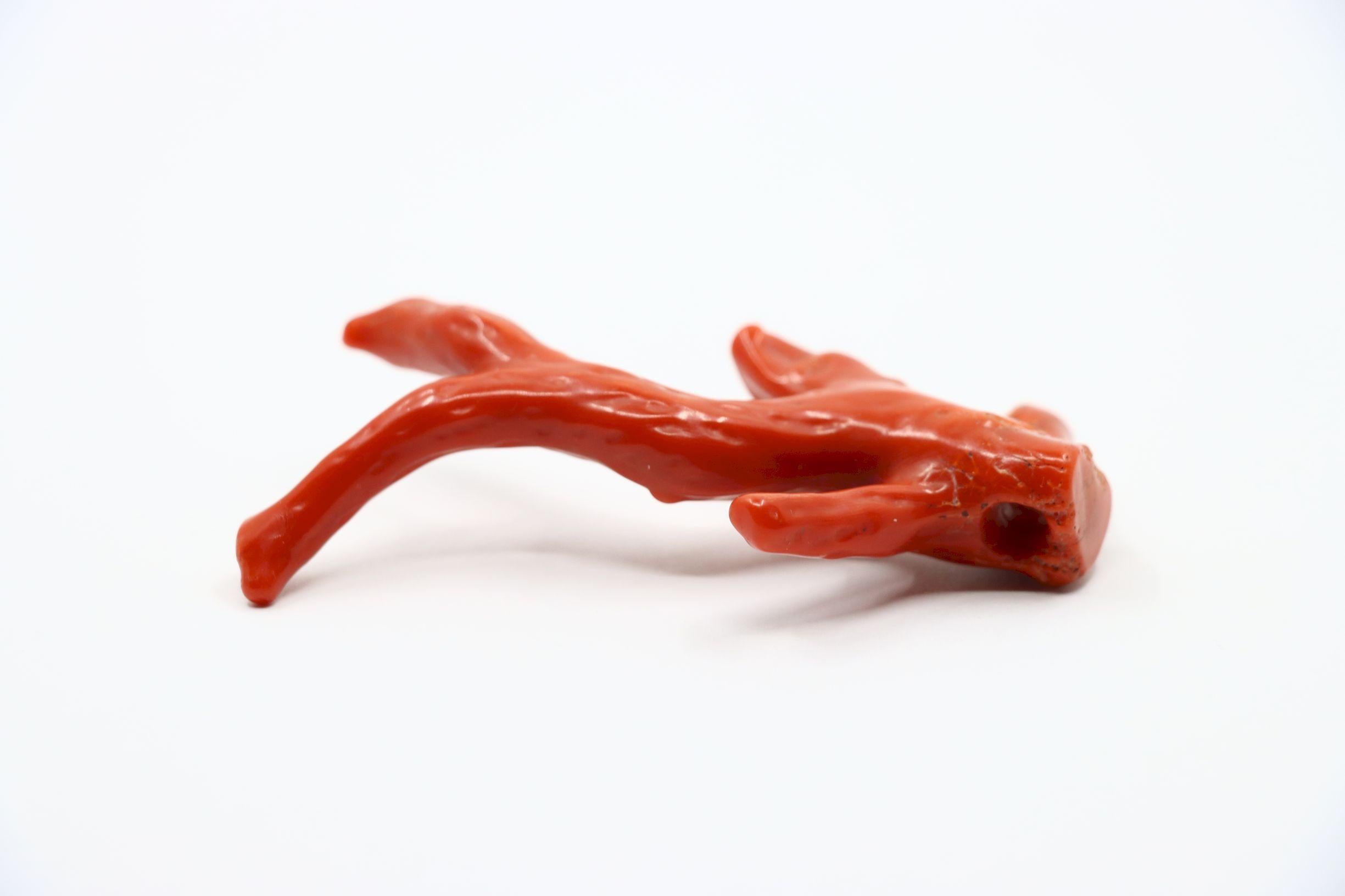 Ciondolo a forma di ramo di corallo rosso Nature in vendita 1
