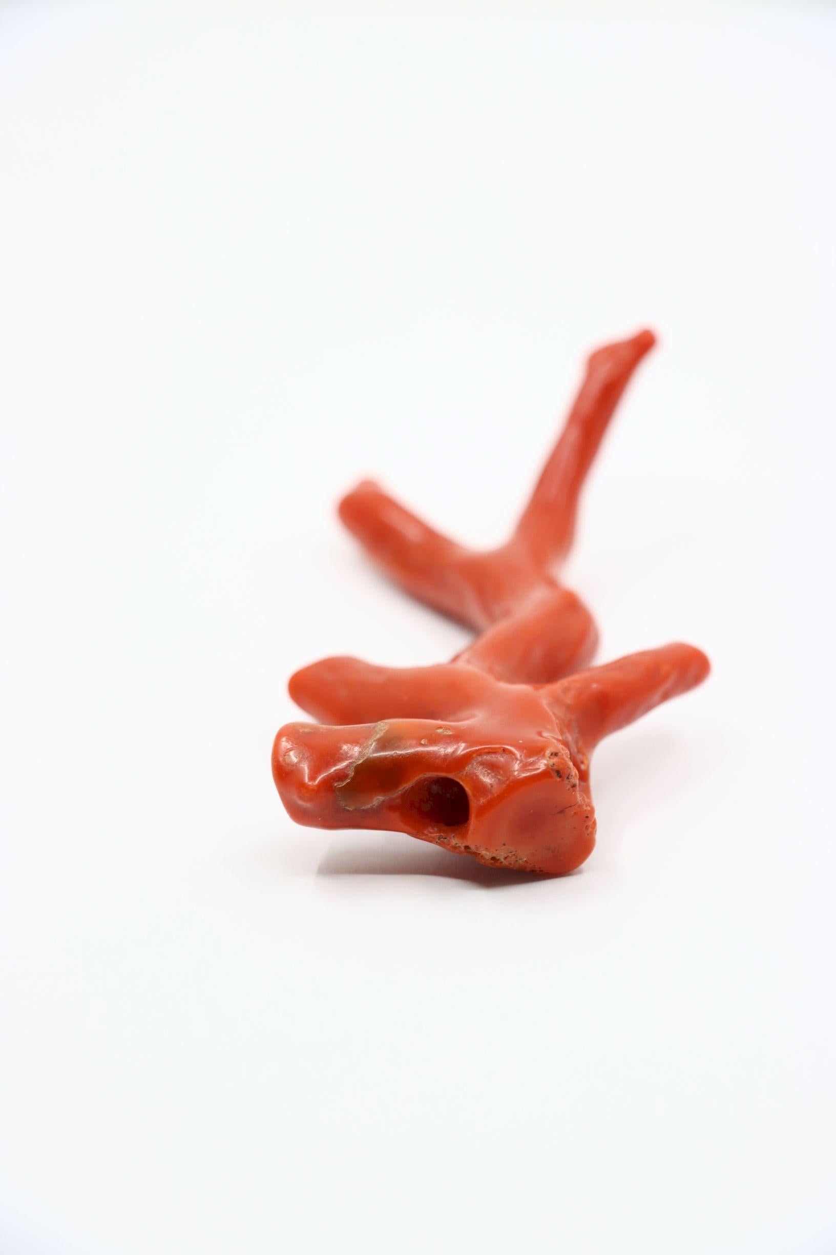 Ciondolo a forma di ramo di corallo rosso Nature in vendita 3