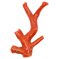 Natural Red Coral Branch Pendant