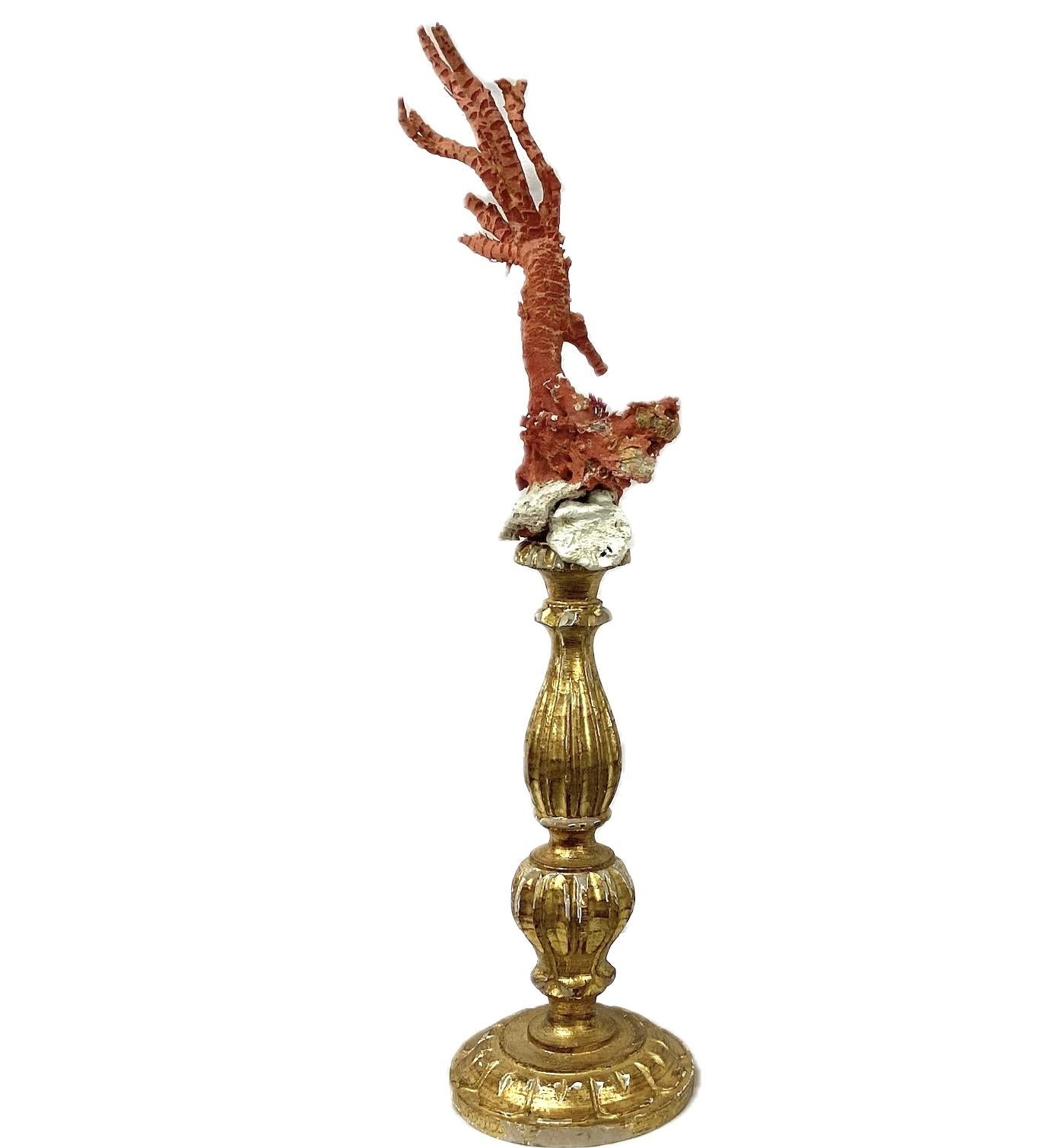 Grand spécimen de sculpture artisanale de branches de corail rouge naturel monté sur une base de fragment de bois peint en or et doré du 18e siècle.