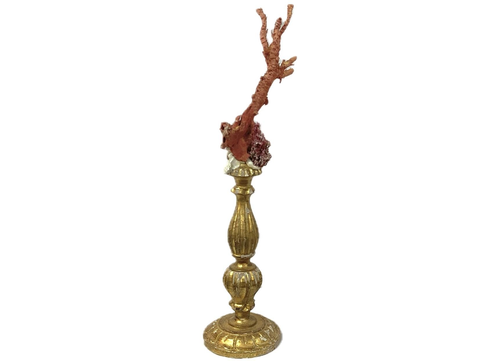 Organique Corail rouge naturel monté sur un fragment doré du 18e siècle en vente