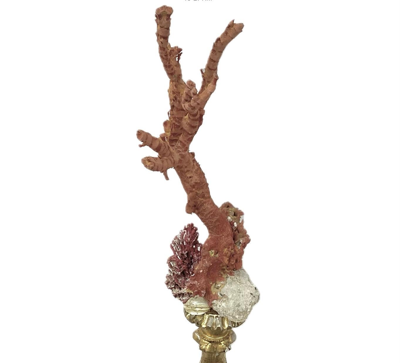 Corail rouge naturel monté sur un fragment doré du 18e siècle État moyen - En vente à Bradenton, FL