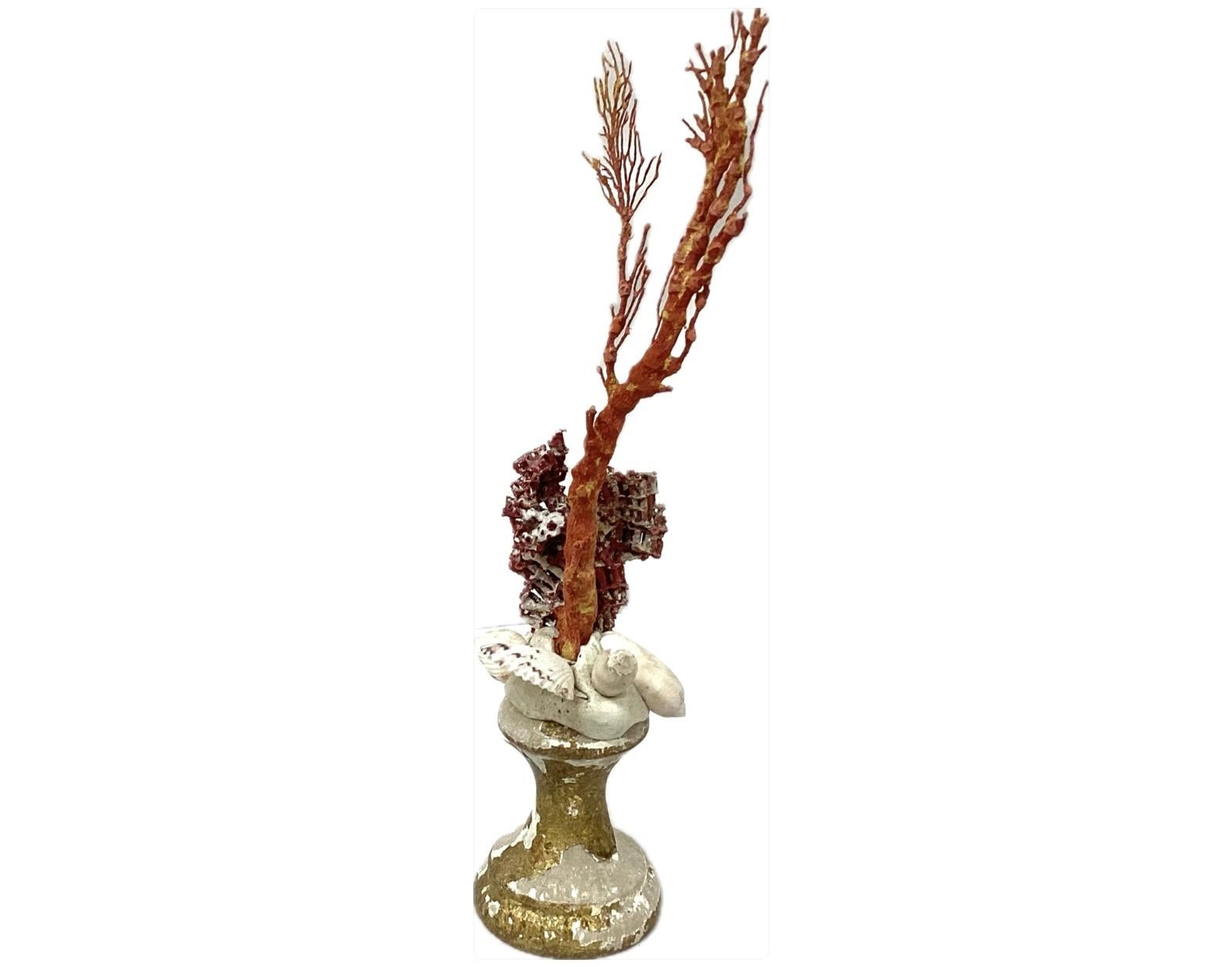 Escultura artesanal de ramas de coral rojo natural montada sobre base de fragmento de madera dorada del siglo XVIII. 11,5 pulgadas de altura. Perfecto para tu 