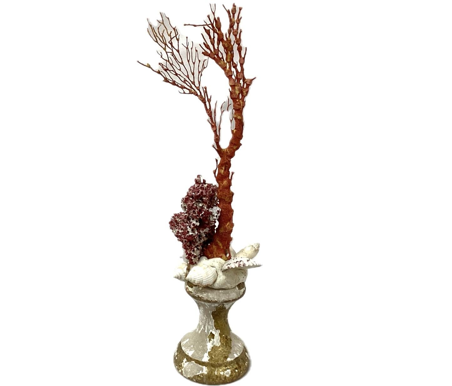 Coral Rojo Natural Montado Sobre Fragmento De Madera Dorada Del Siglo XVIII Moderno orgánico en venta
