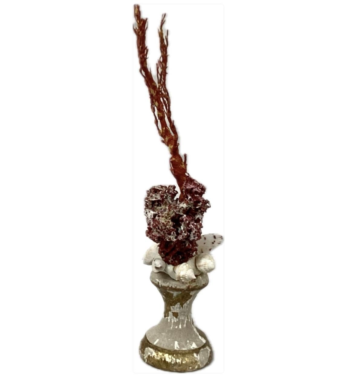 Coral Rojo Natural Montado Sobre Fragmento De Madera Dorada Del Siglo XVIII Italiano en venta