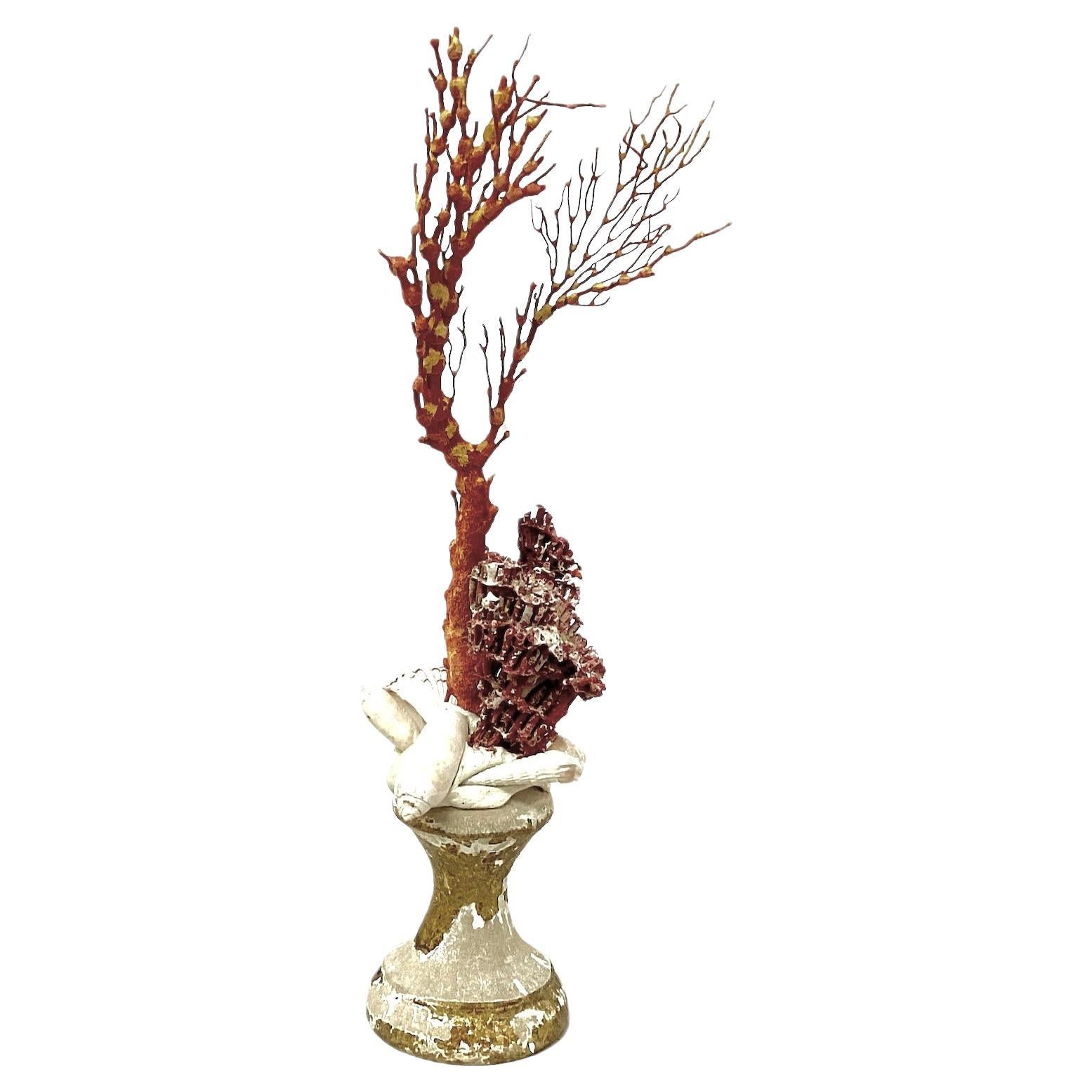 Coral Rojo Natural Montado Sobre Fragmento De Madera Dorada Del Siglo XVIII