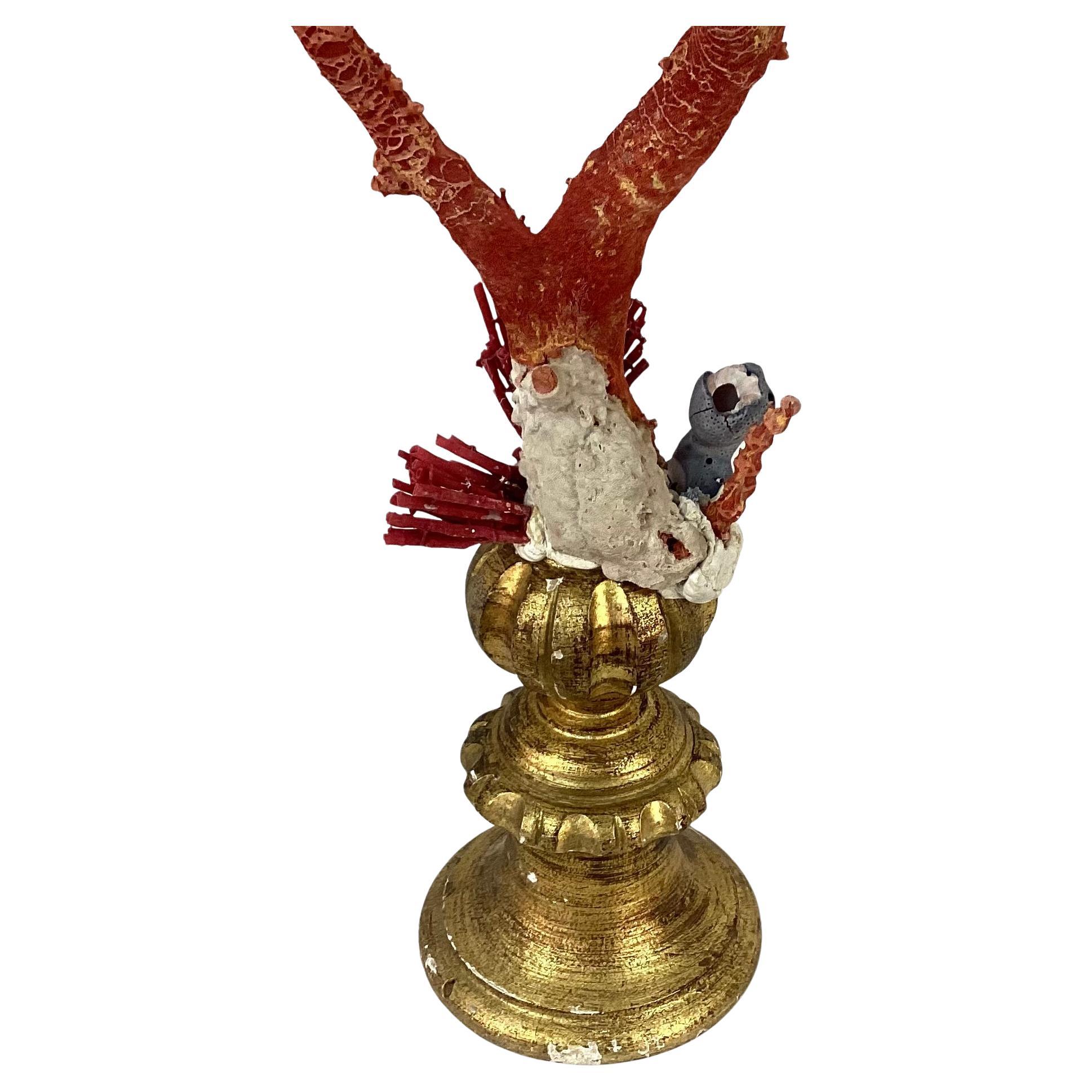 A rather large hand-crafted sculpture specimen of natural red coral branches mounted on a 18th century giltwood urn fragment base.