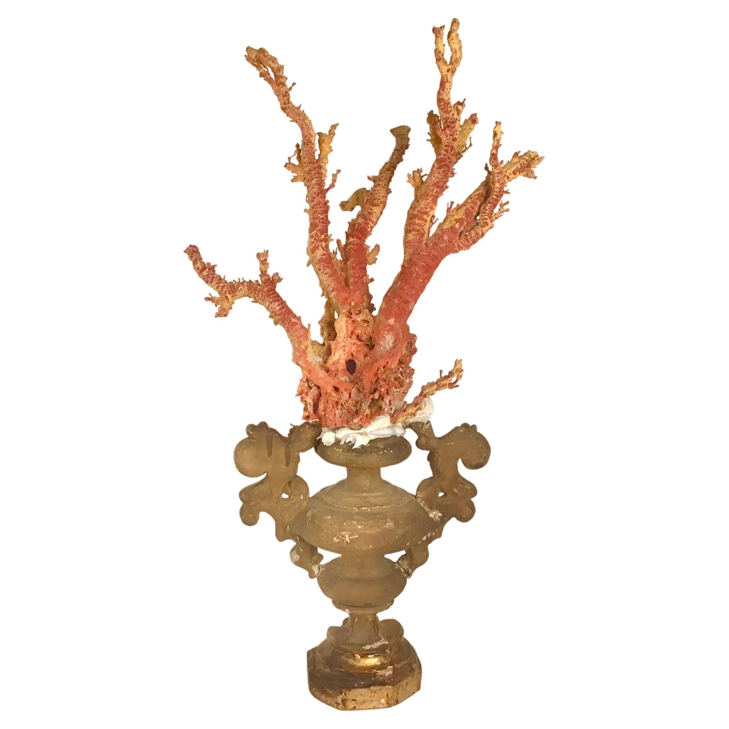 Organic Modern Natural Red Coral Mounted on 18th Century Giltwood Fragment For Sale