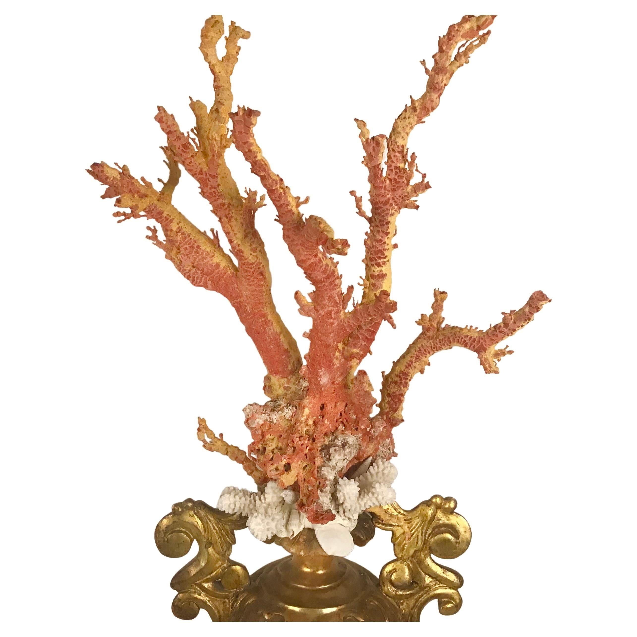 Natural Red Coral Mounted on 18th Century Giltwood Fragment In Fair Condition For Sale In Bradenton, FL