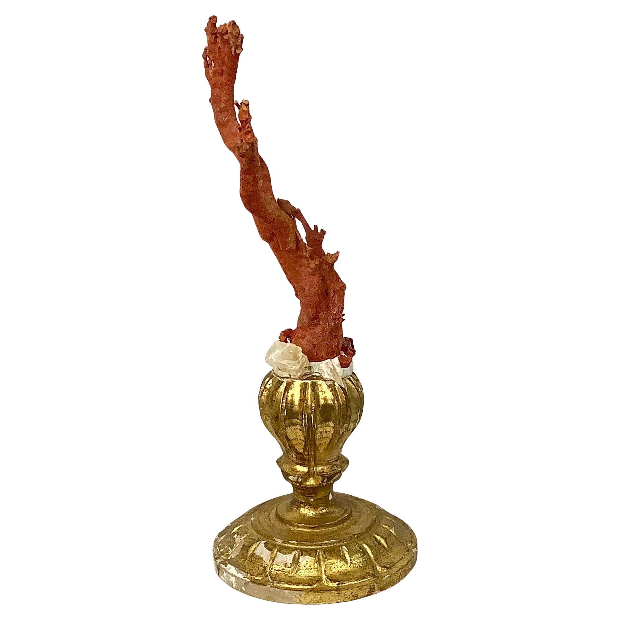 20th Century Natural Red Coral Mounted on 18th Century Giltwood Fragment For Sale