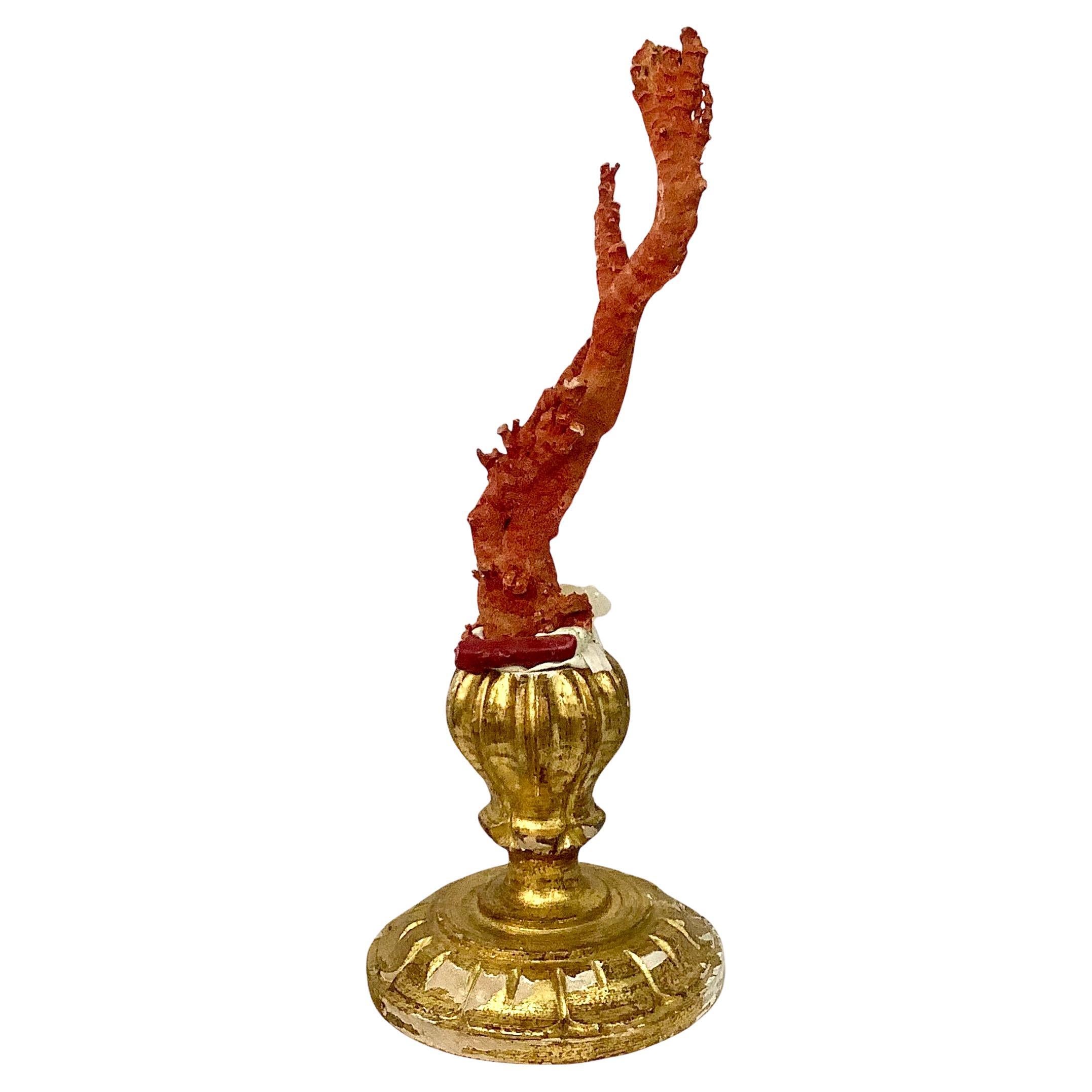Natural Red Coral Mounted on 18th Century Giltwood Fragment For Sale 1