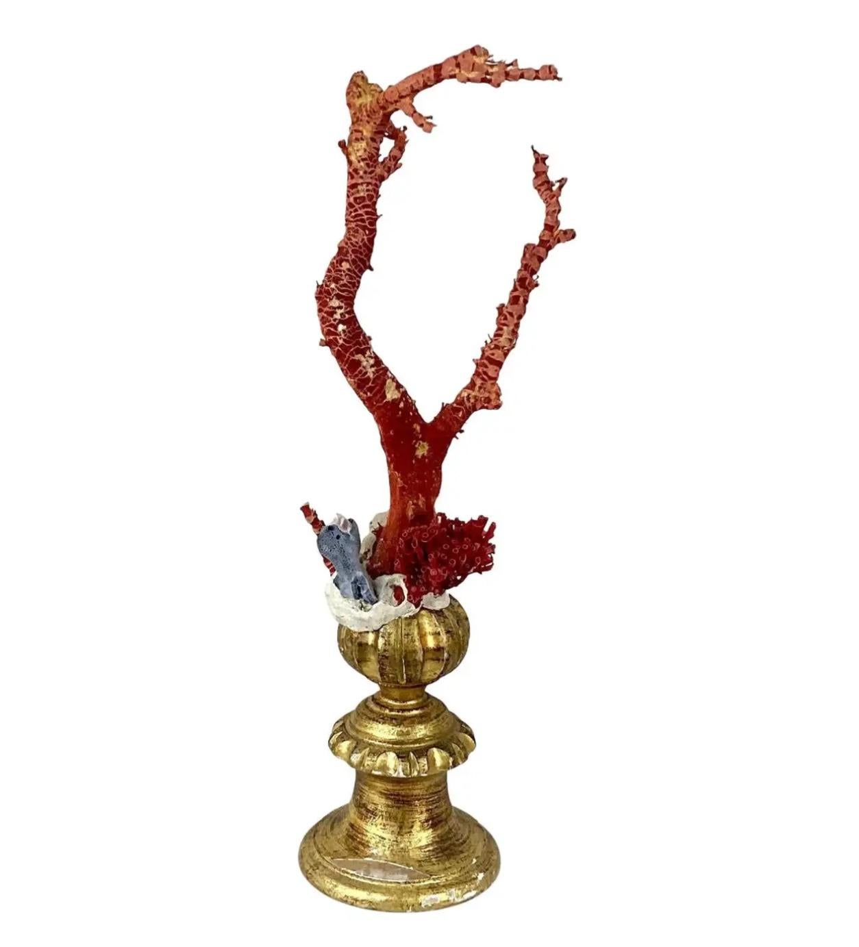 Natural Red Coral Mounted on 18th Century Giltwood Fragment For Sale 2