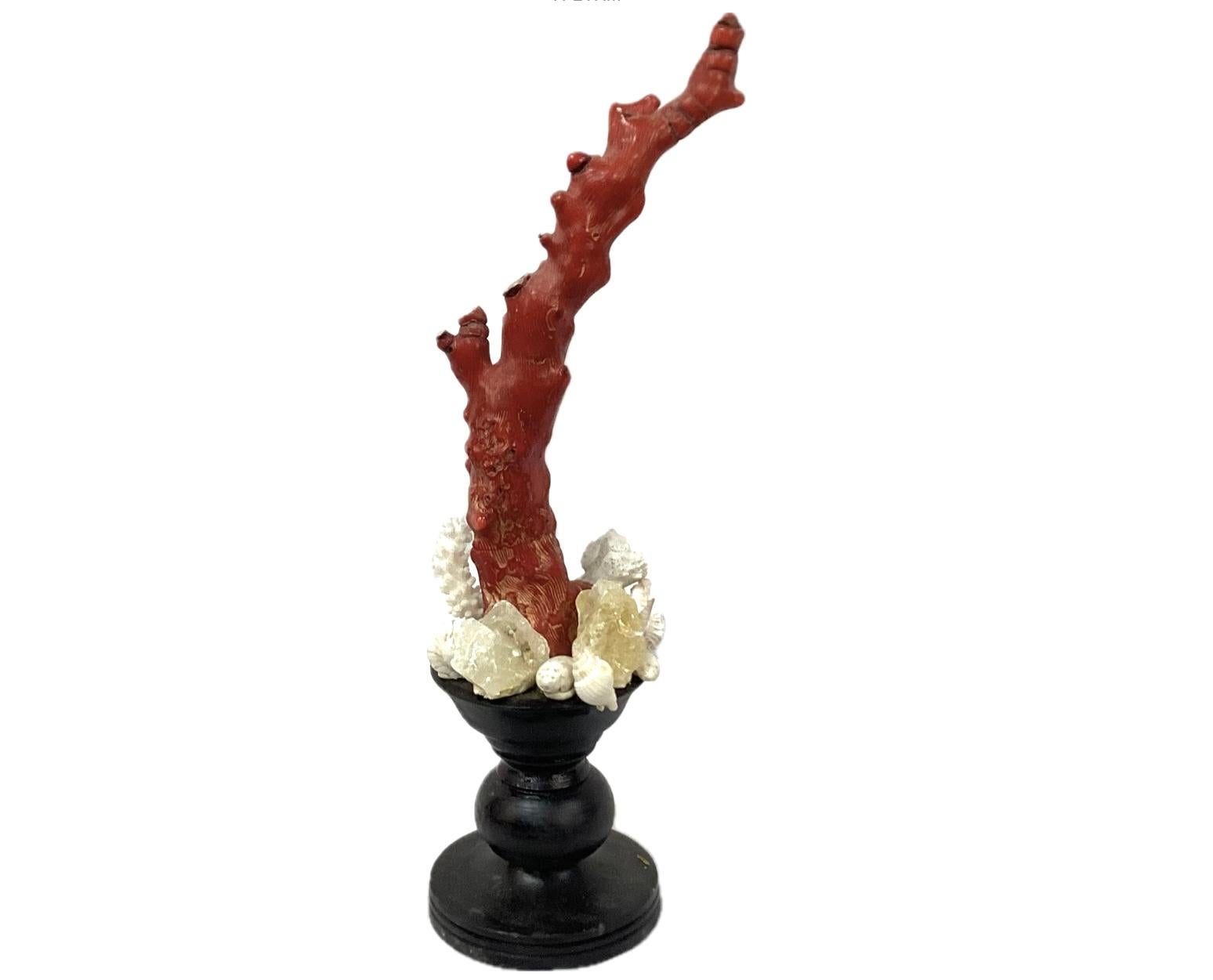 Medium sized hand-crafted sculpture specimen of natural red coral branches mounted on 18th century wooden painted black fragment base. Perfect addition to your 