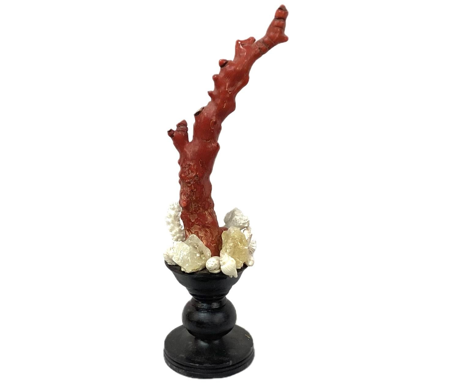 Organic Modern Natural Red Coral Mounted On 18th Century Painted Wood Fragment For Sale