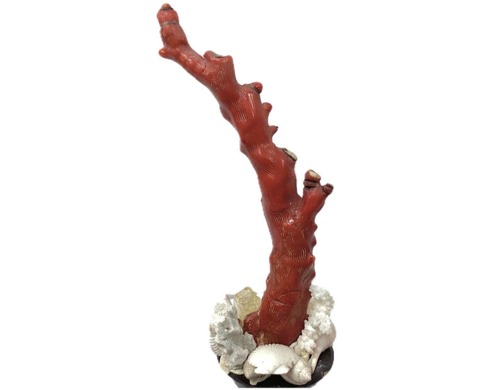 Natural Red Coral Mounted On 18th Century Painted Wood Fragment For Sale 1