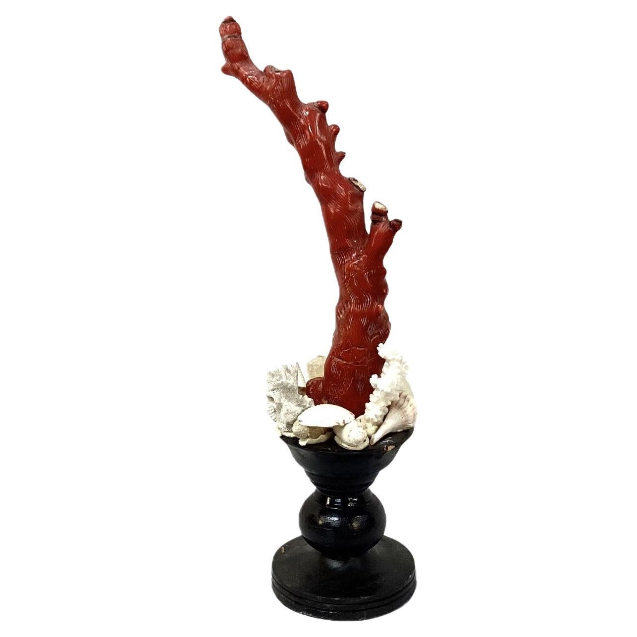 Coral Rojo Natural Montado Sobre Fragmento De Madera Pintada Del Siglo XVIII