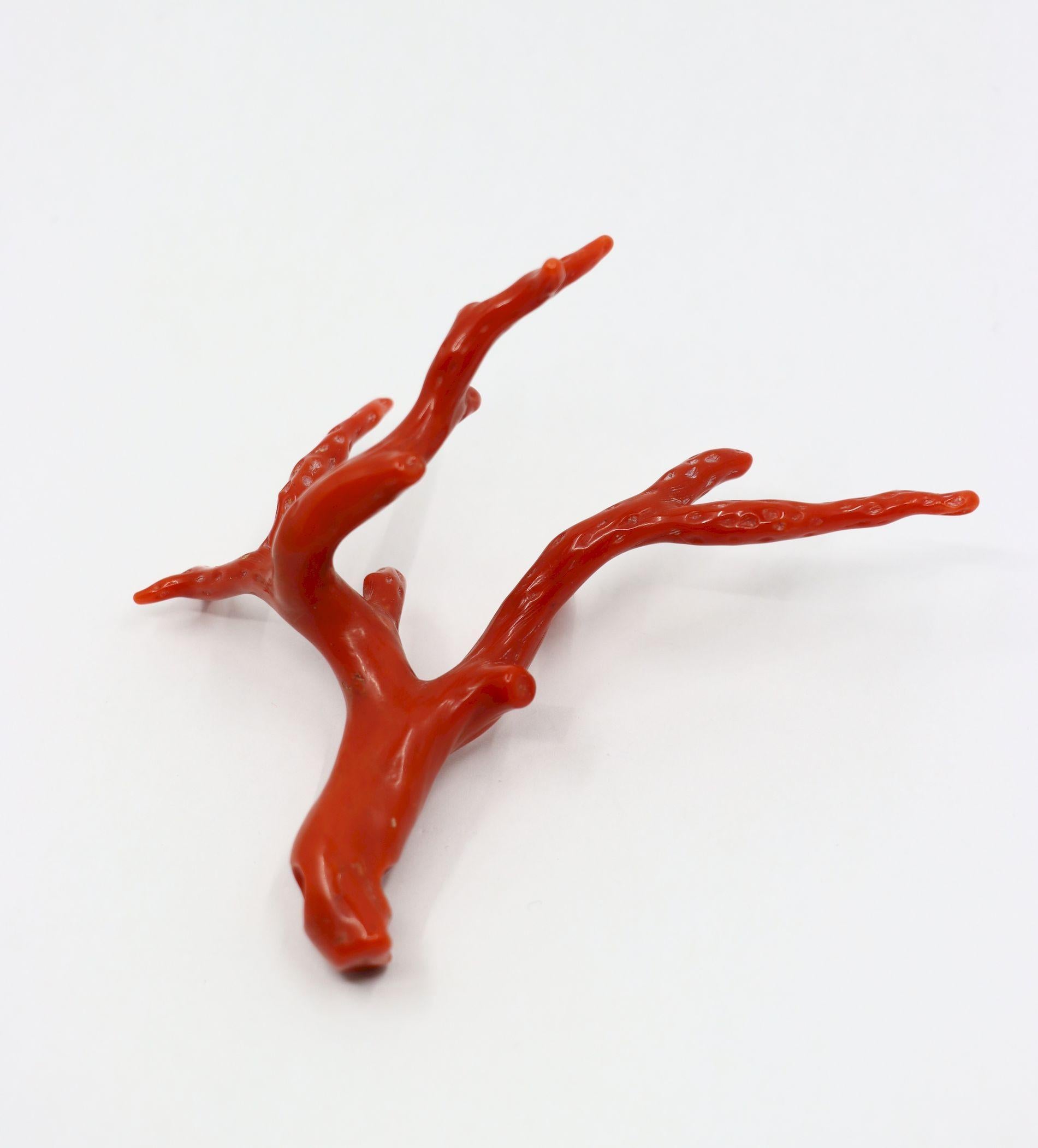 Ciondolo Muti Branch in corallo rosso Nature

Dimensioni approssimative:
8,7 cm (lunghezza) 
9,8 cm (larghezza)
20,6 grammi di peso.