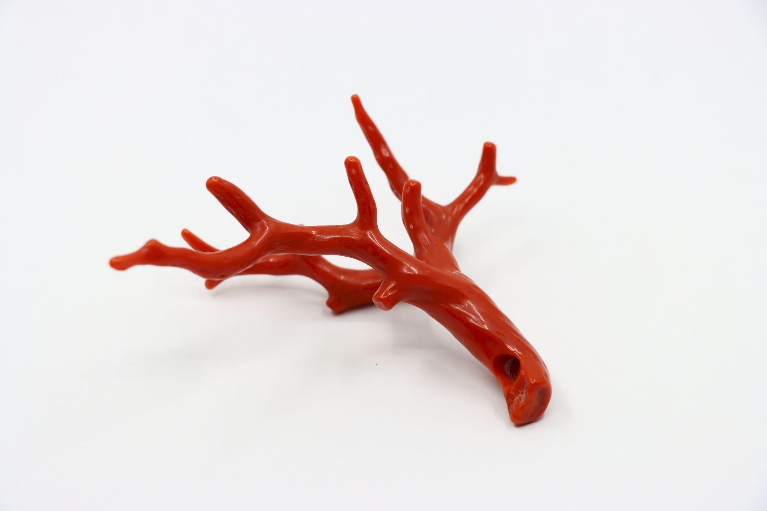 Donna Ciondolo Muti Branch in corallo rosso Nature in vendita