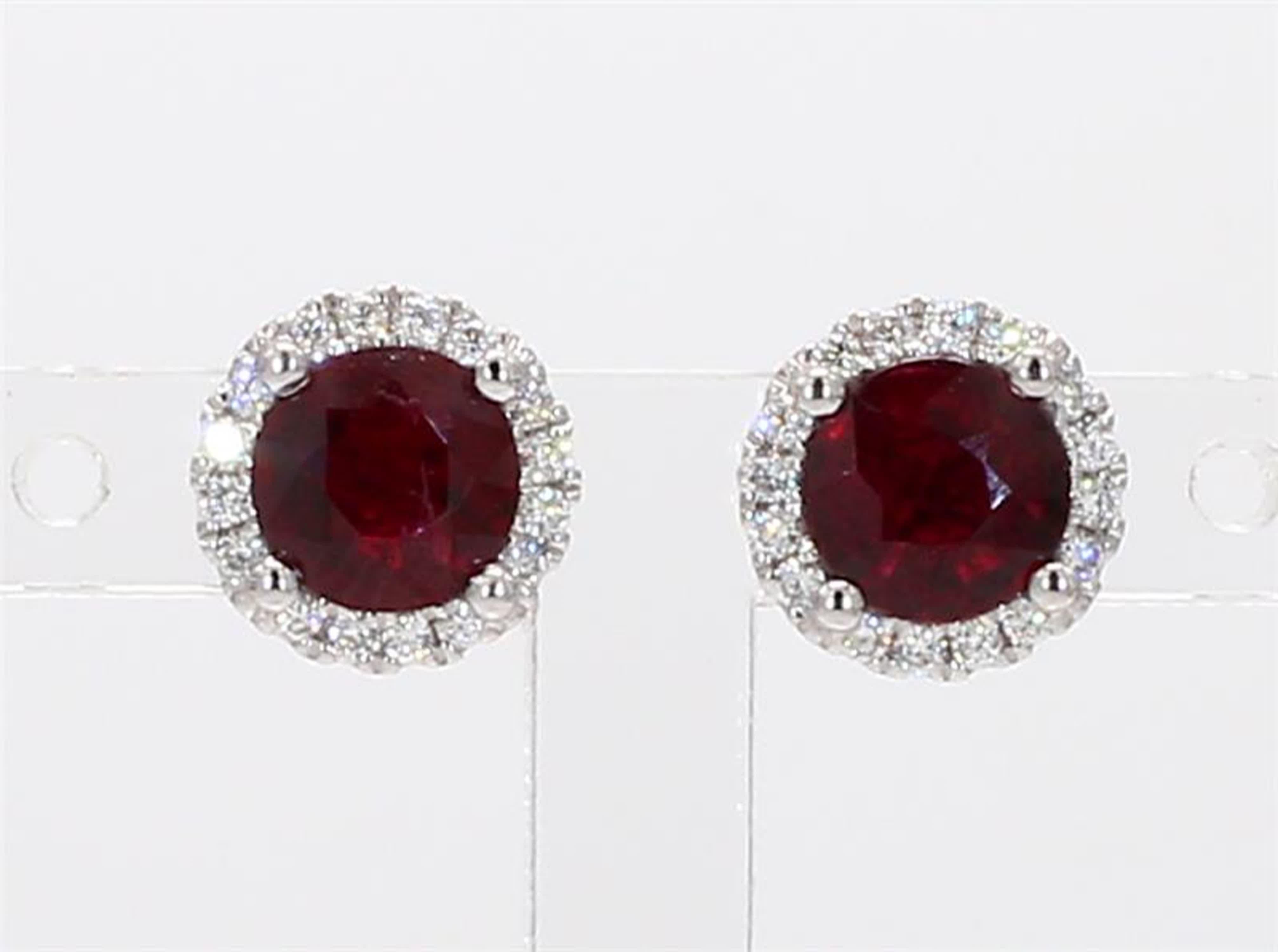 RareGemWorld's classic ruby earrings. Mounted in a beautiful 14K White Gold setting with natural round cut red ruby's. These ruby's are surrounded by a halo of natural round white diamond melee. These earrings are guaranteed to impress and enhance