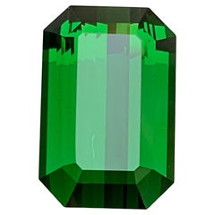 Natural Rich Green Tourmaline Emerald Cut 17.42 Carat Loose Gemstone for Pendant