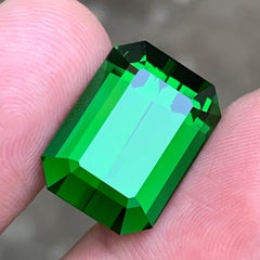 Natural Rich Green Tourmaline Emerald Cut 19.50 Carat Loose Gemstone for Pendant
