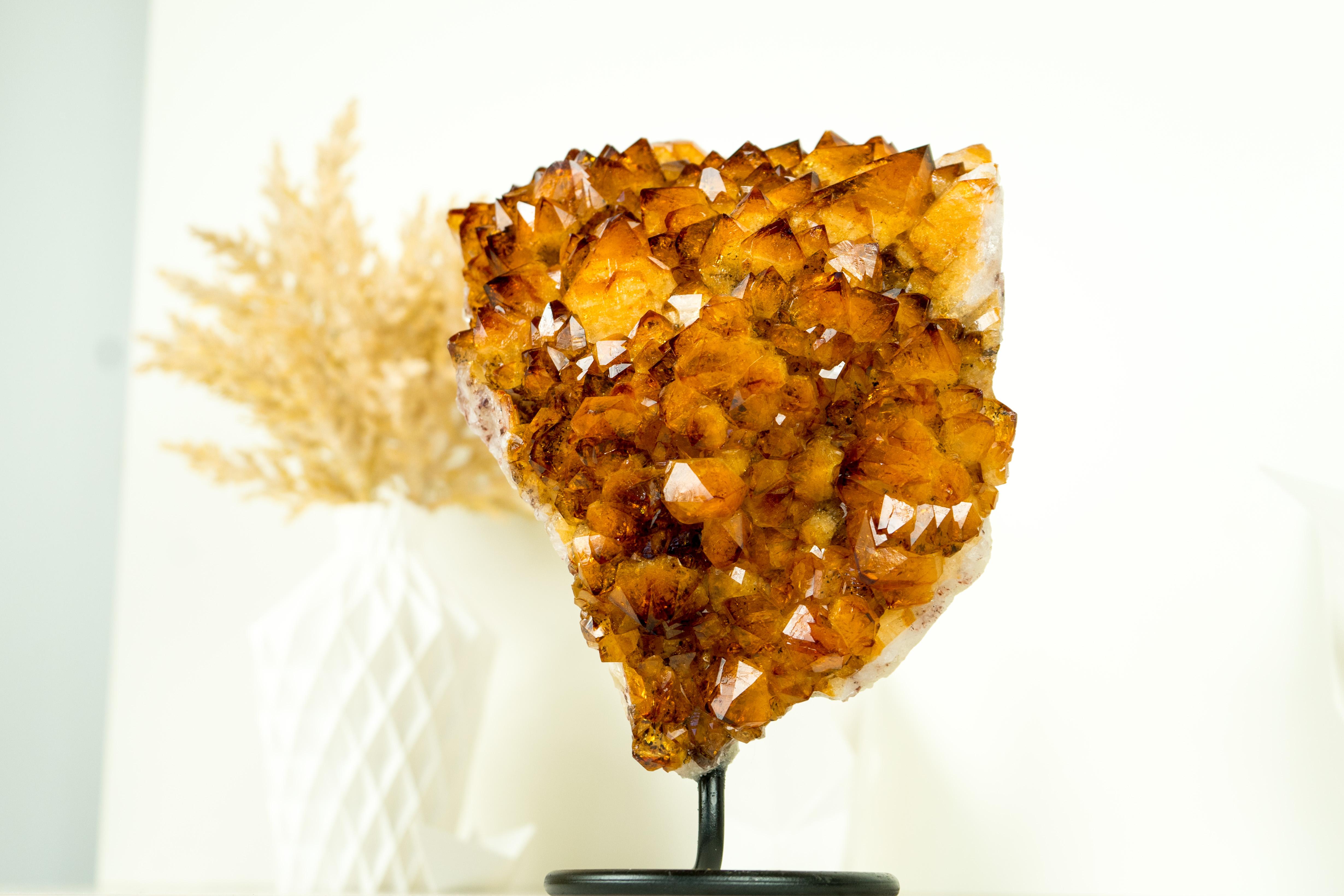 Contemporary Natural Rich Orange Citrine Cluster with AAA Madeira Orange Druzy on Stand