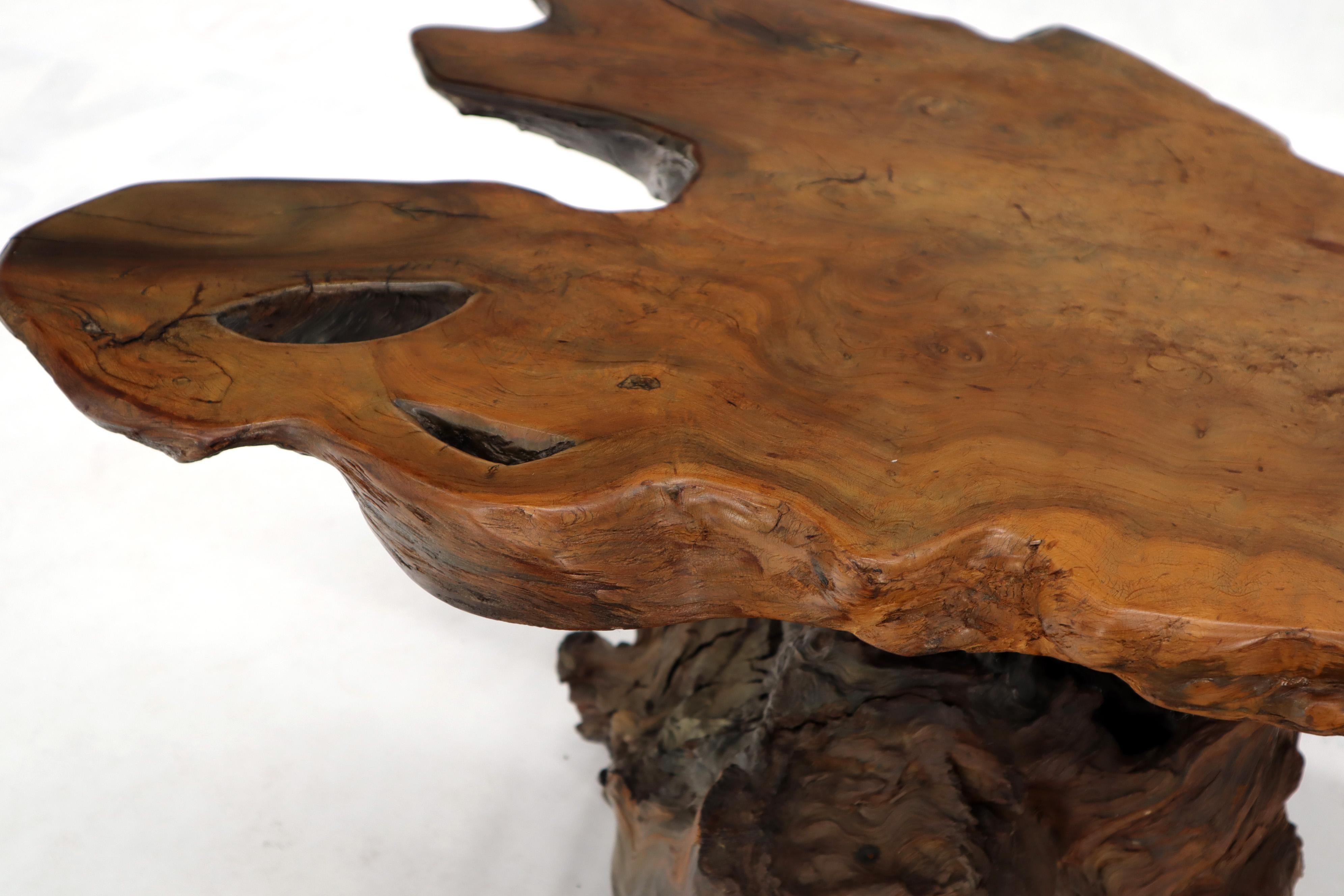 Natural Root Base Slab Top Side Coffee Table Amber Tone Varnish Finish 1