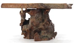 Natural Root Base Slab Top Side Coffee Table Amber Tone Varnish Finish