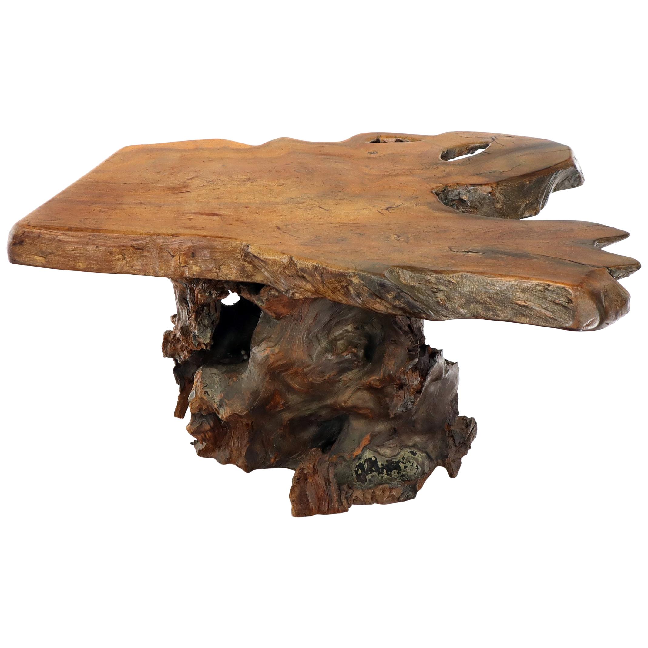 Natural Root Base Slab Top Side Coffee Table Amber Tone Varnish Finish