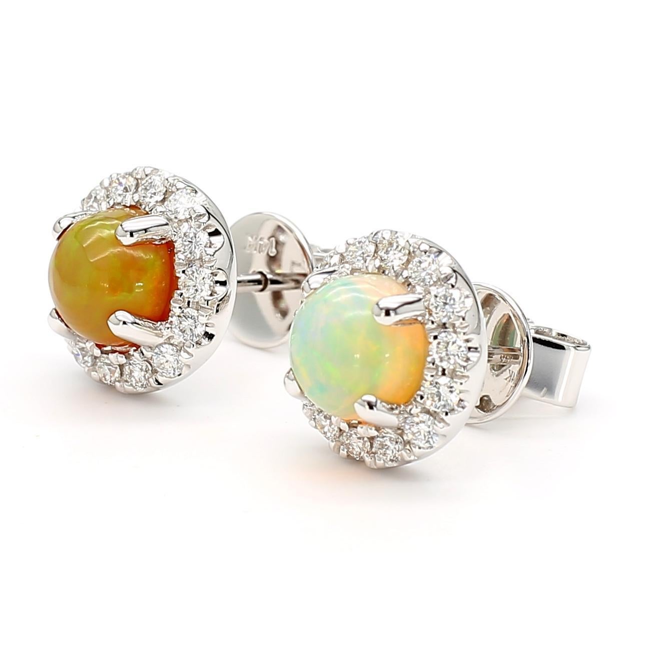 RareGemWorld's beautiful opal earrings. Mounted in a beautiful 14K White Gold setting with natural round cut opal's. The opal's are surrounded by natural round white diamond melee in a beautiful single halo. These earrings are guaranteed to impress