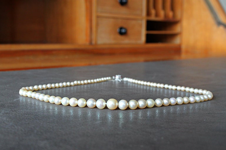 Women's Natural Saltwater Pearl Necklace, circa 1920s For Sale