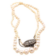 Natural Saltwater Pearl Necklace