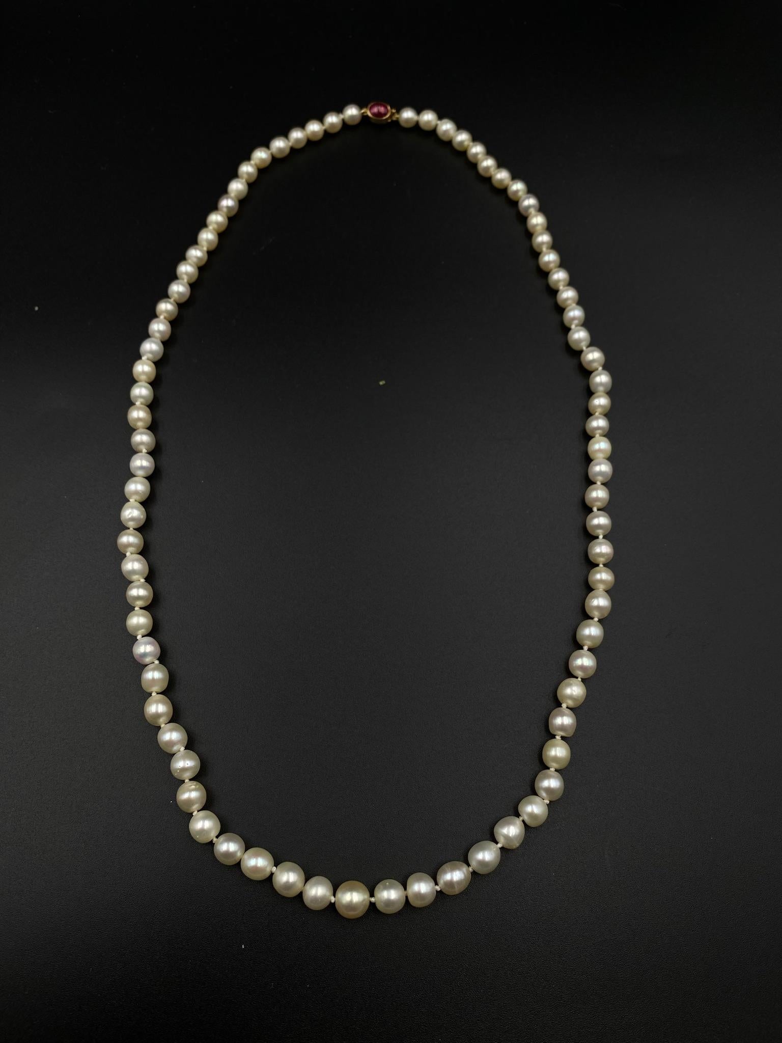 Composed of 79 pearls approximated from 7.2 to 5.36 mm., completed by a clasp centering one collet-set oval cabochon synthetic ruby. Length 21 inches.

With GIA report stating 78 natural saltwater, one natural freshwater, no indications of