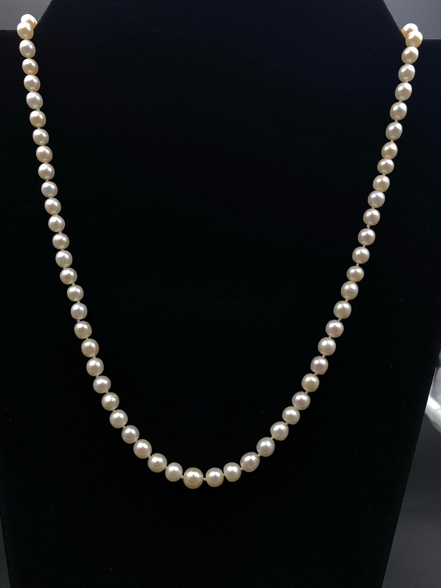 pearl necklace with ruby clasp