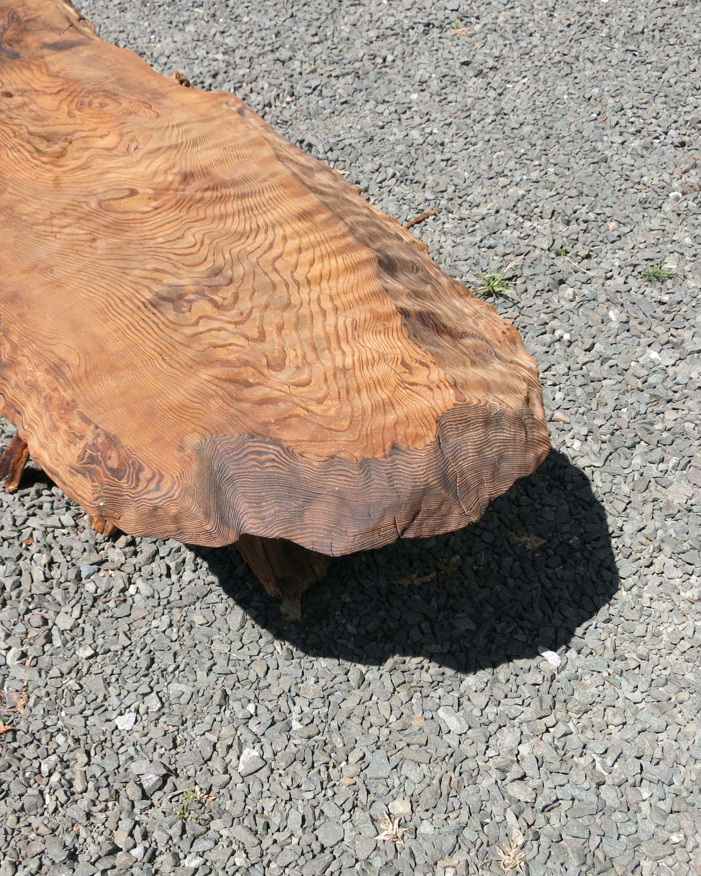 Natural Salvaged Wavy Wood Bench or Coffee Table Root Base Gallery Bench For Sale 6