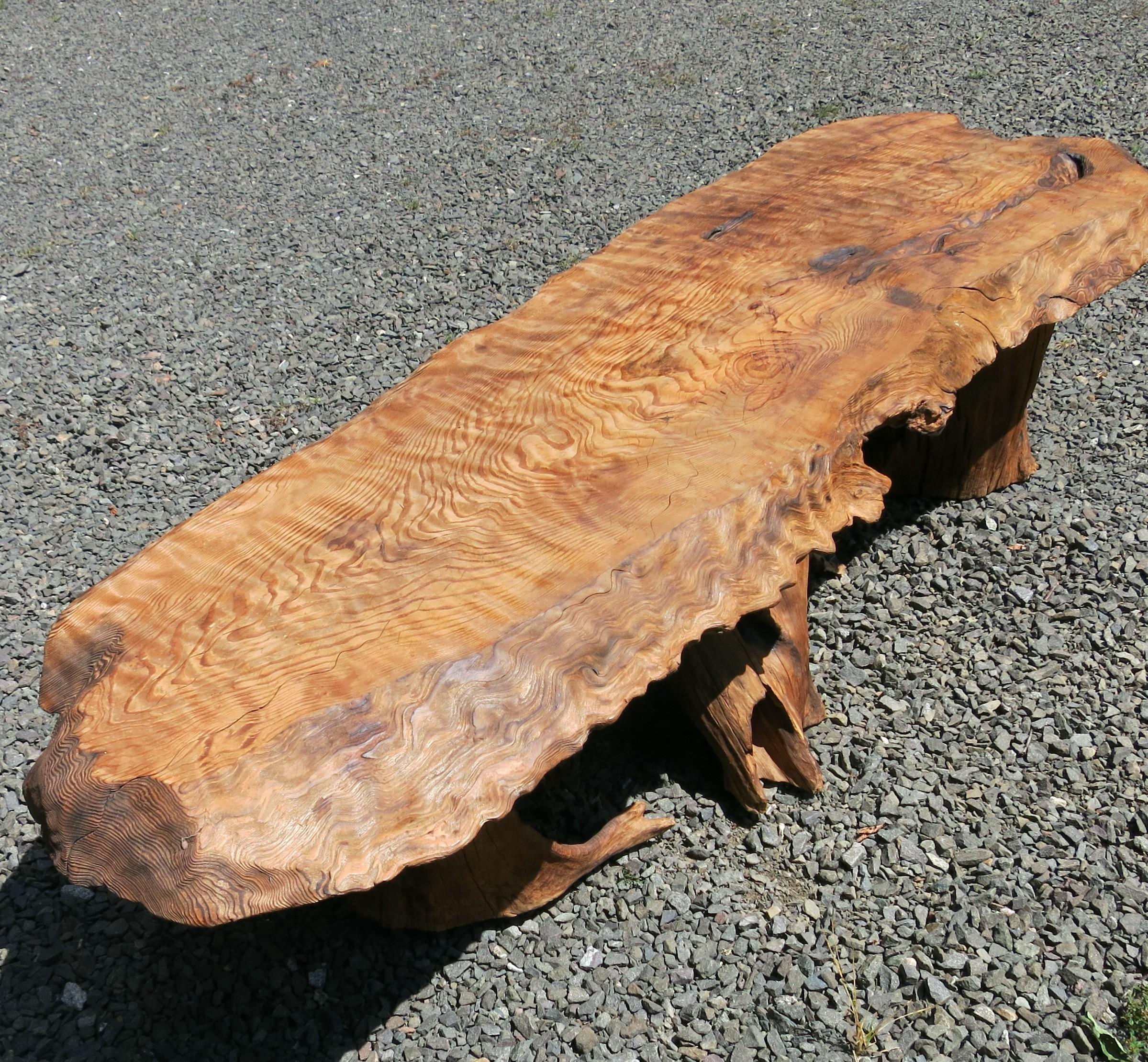 Natural wavy wood bench or coffee table with root base. Salvaged wood with black underneath it is unfinished. Would make a great gallery bench. It is 72