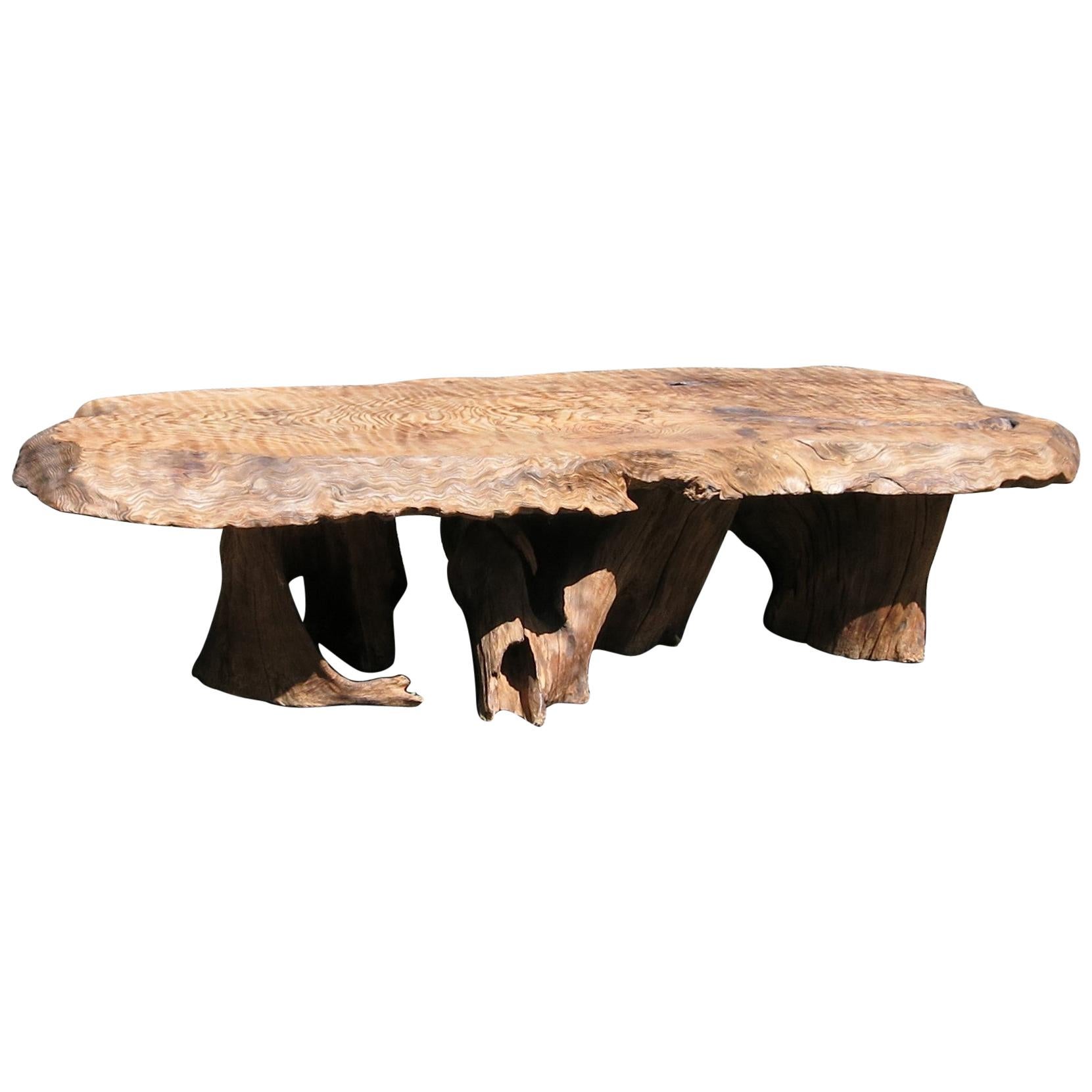 Natural Salvaged Wavy Wood Bench or Coffee Table Root Base Gallery Bench For Sale