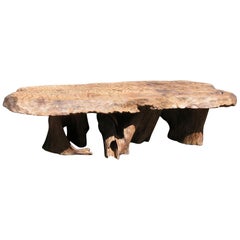 Natural Salvaged Wavy Wood Bench or Coffee Table Root Base Gallery Bench