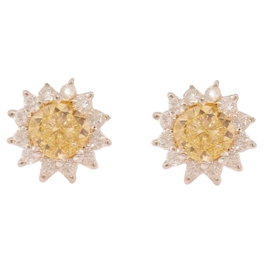Natural Sapphire Diamond Stud Earrings 14k Yellow Gold 2 TCW Certified
