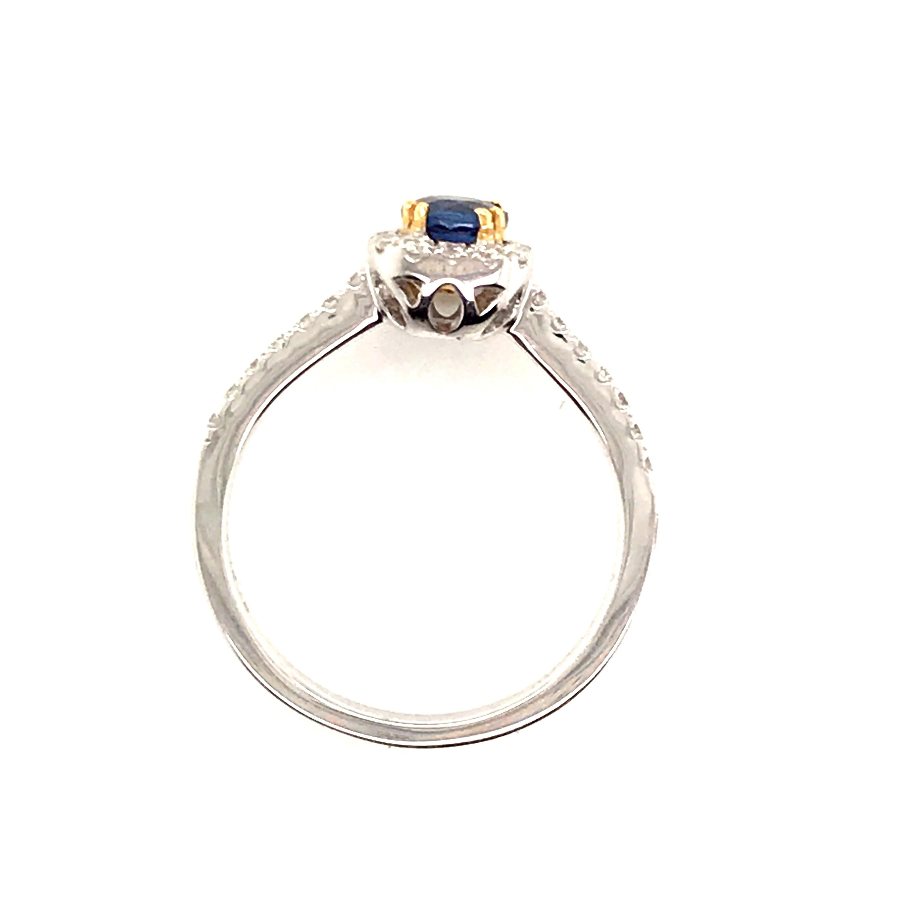 HJN Inc. Ring featuring a Natural Sapphire with Diamond Halo Ring

Sapphire Weight: 0.65 Carats 
Round-Cut Diamond Weight: 0.29 Carats 

Clarity Grade: SI1 
Color Grade: G
Polish and Symmetry: Very Good
Style Number: GJ1235SDWG18K