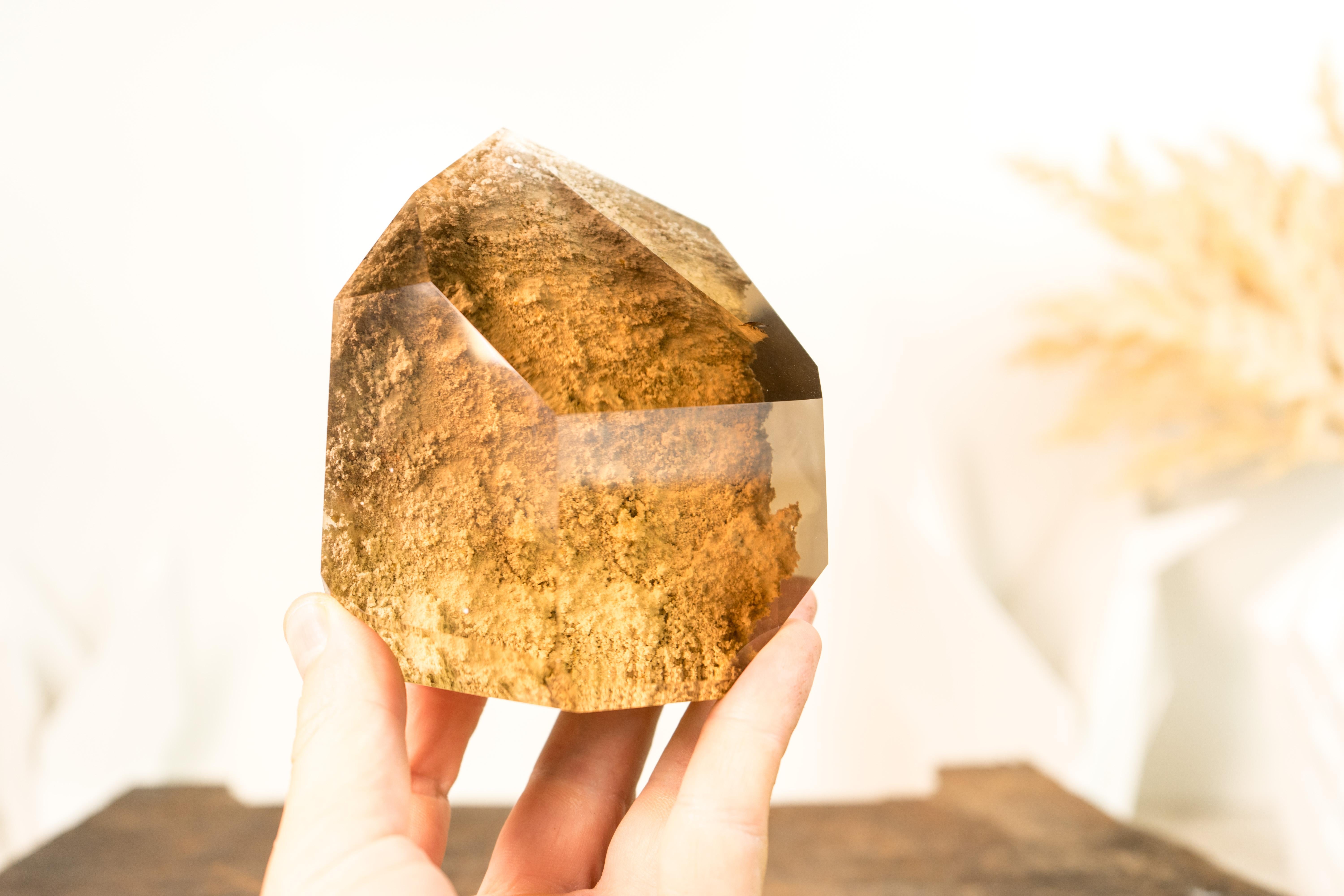 A play of contrasts: the old and the new, the raw and the polished. This Smoky Citrine Quartz offers a window to the past, encapsulating a landscape within a crystal, where the landscaped garden quartz can be fully appreciated through a window of