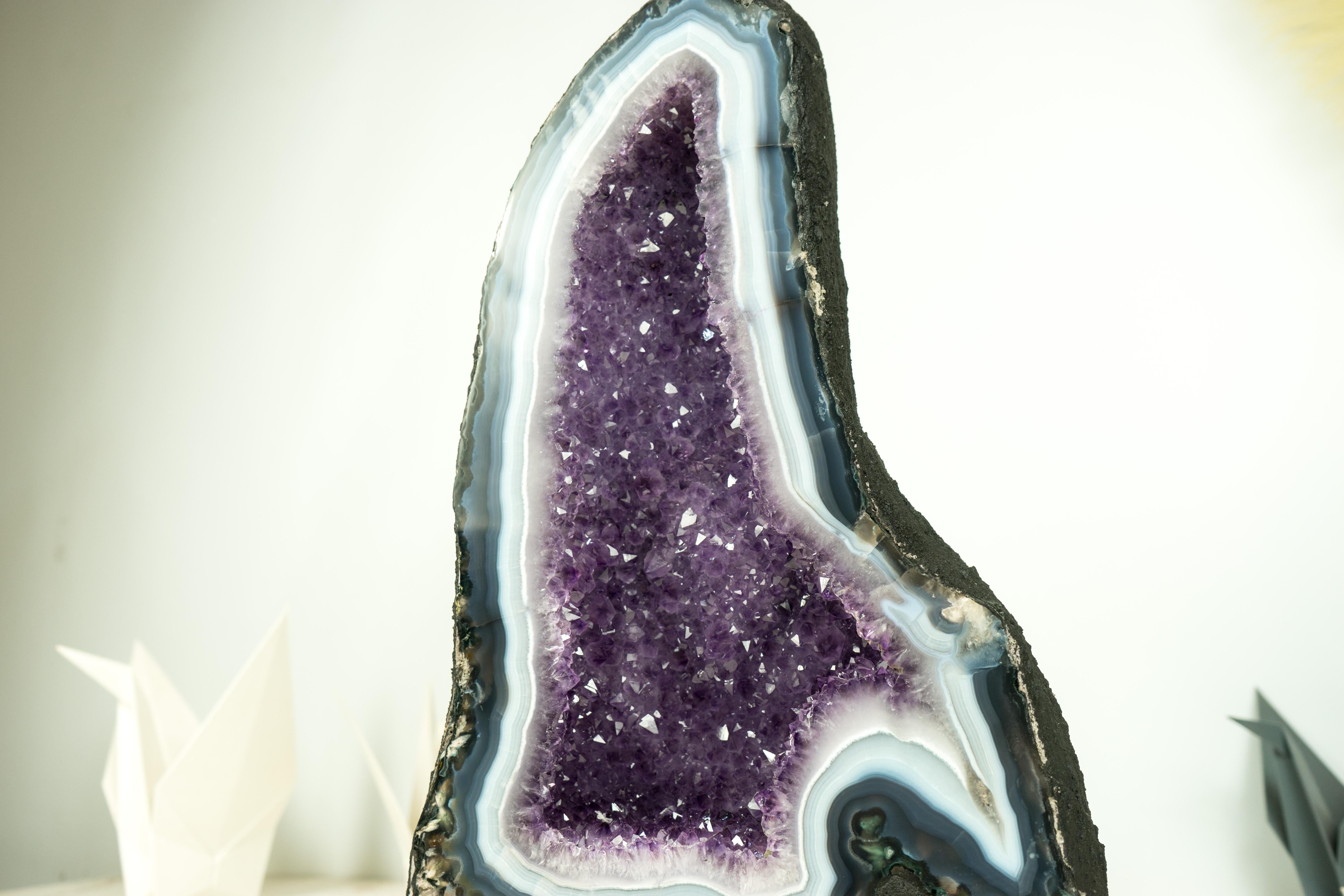 Geode raro: Geode di agata a bande bianche e blu intenso, con splendida ametista viola lavanda

▫️ Descrizione

Con lacci di agata audaci, sinuosi e dalla forma sexy, questo geode di agata è uno splendido esemplare degno di una collezione o di una