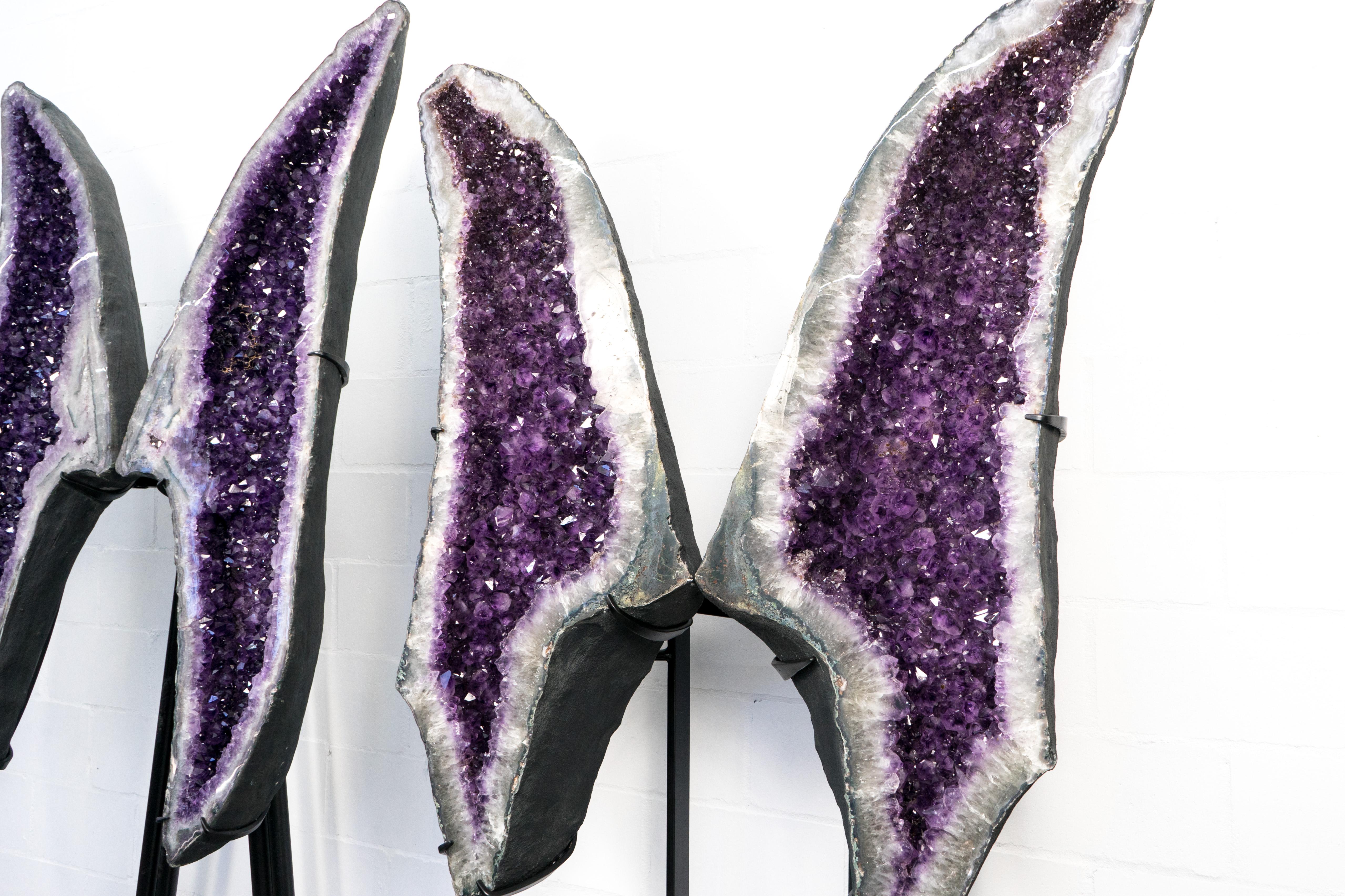 Preciosas Alas de Mariposa Geoda Amatista X-Grande 

▫️ Descripción

Con una presencia escultural, una estética magnífica y una formación que llama la atención, este raro par de Alas de Geoda de Amatista muestra brillantes cristales de amatista