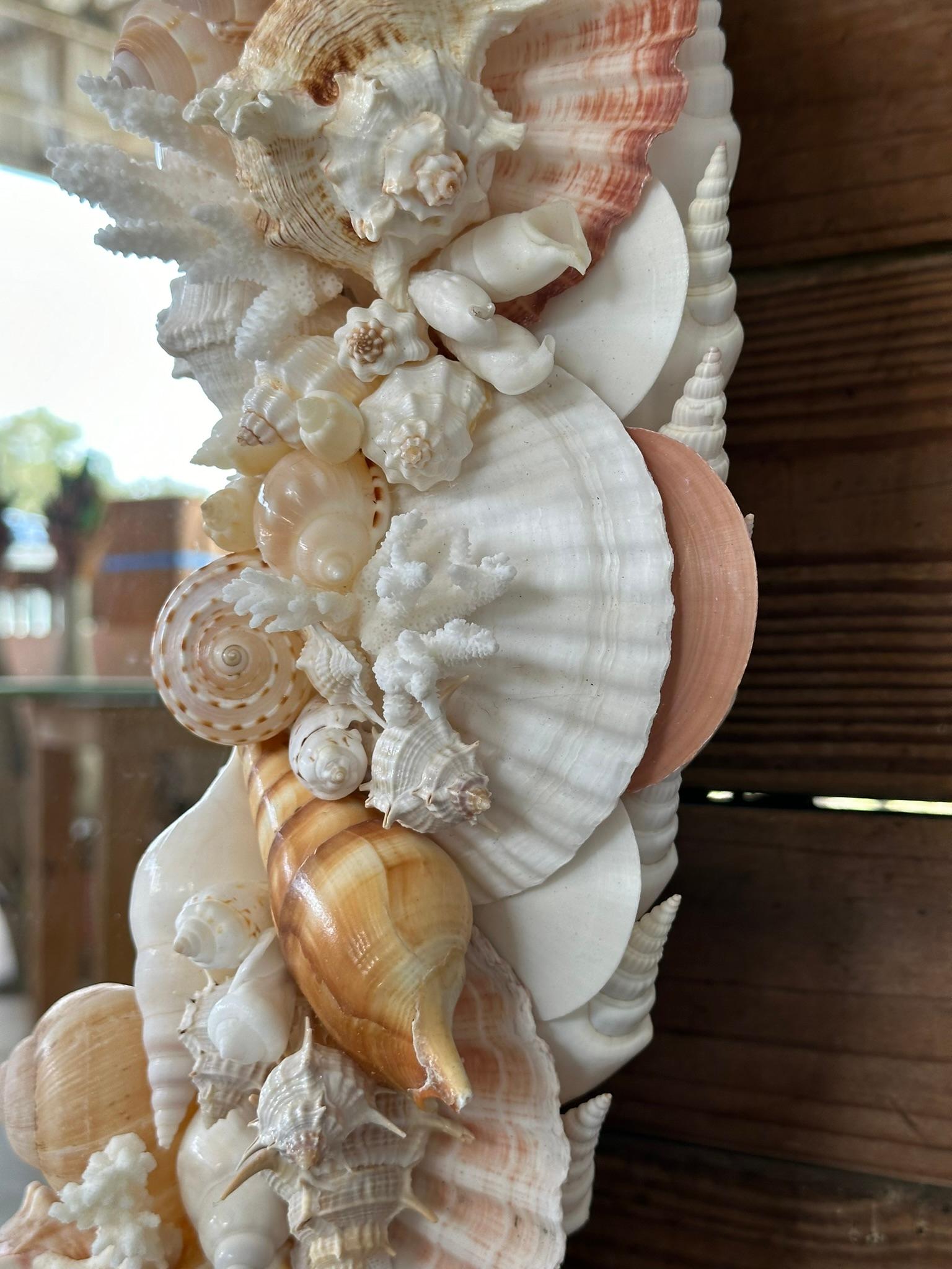 Shell Natural Sculptural Coastal Seashell Encrusted 